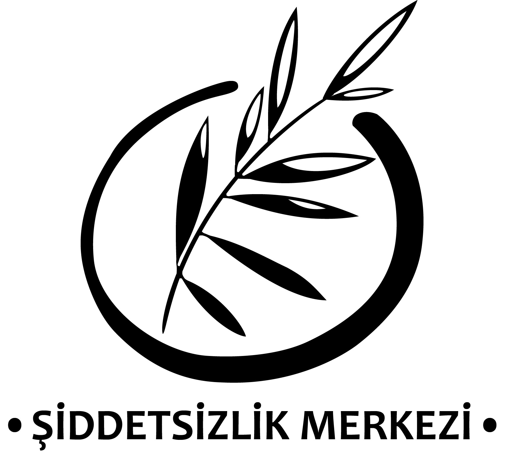 Şiddetsizlik Eğitim ve Araştırma Derneği
